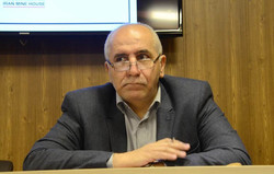 تلاش دولت برای توسعه معدن و محصولات معدنی در ۹۶