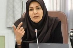 تدوین استراتژی اکتشاف جزو اولویت های سازمان زمین شناسی است