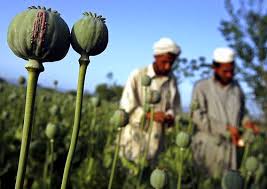 صنعتی به گستردگی تجارت جهانی مواد مخدر