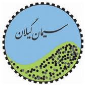 کسب تقدیرنامه دو ستاره در جایزه ملی تعالی و پیشرفت توسط سیمان گیلان سبز