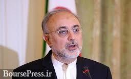 تمایل ایران به استفاده از راکتورهای کوچک