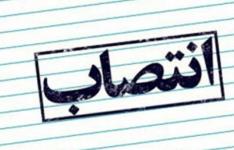 ربیعی سرپرست سازمان صمت استان البرز شد