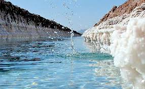 کارشناسان پتاس خور و بیابانک در کویر طرود سمنان پیدا شدند