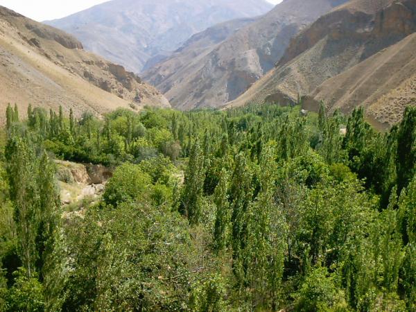 هزینه کردن اعتبارات اشتغال روستایی توسعه پایدار ایجاد می‌کند