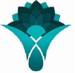 عرضه اولیه اخزا ۸۰۷۱ در بازار ابزارهای نوین مالی