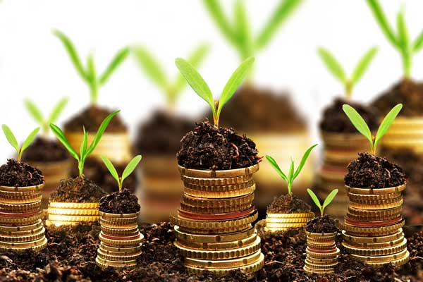 توسعه بازار سرمایه منهای دانش مالی ممکن نیست