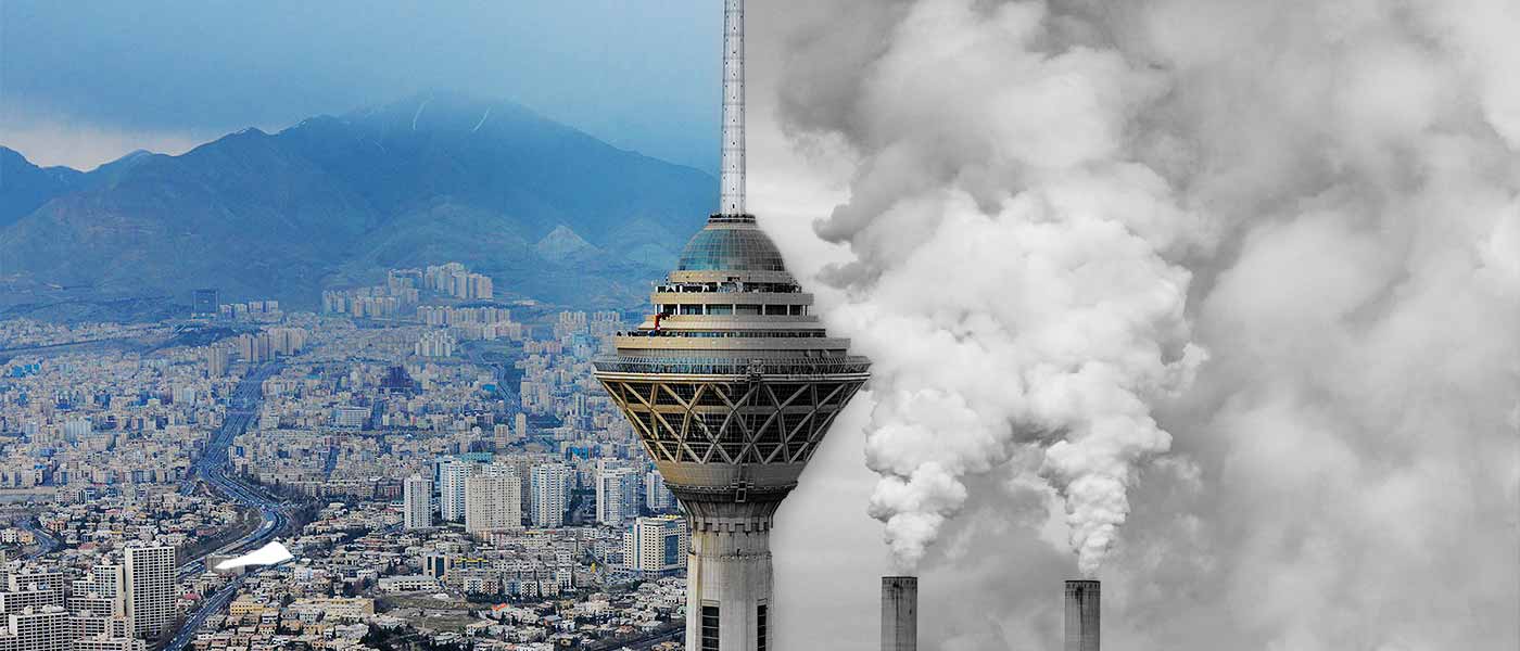 ذرت‌های آلوده موجب مرگ فوری نمی‌شود / ذرت‌های آلوده امحا می‌شود