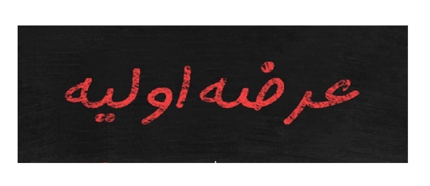 عرضه اولیه "فروی" کشف قیمت شد