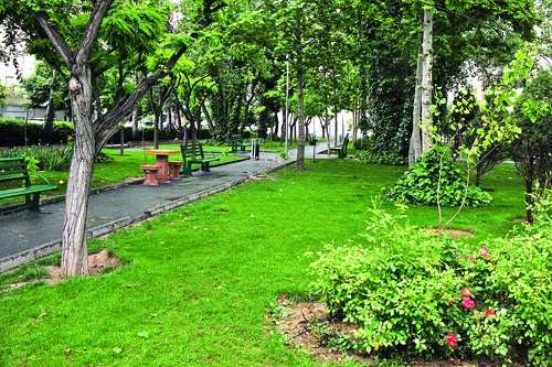 نظم و پیشرفت فضای سبز مجموعه قابل تحسین است