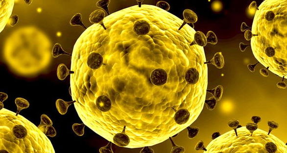 آزمایشگاه تشخیص ویروس کرونا در اسفراین ایجاد می‌شود