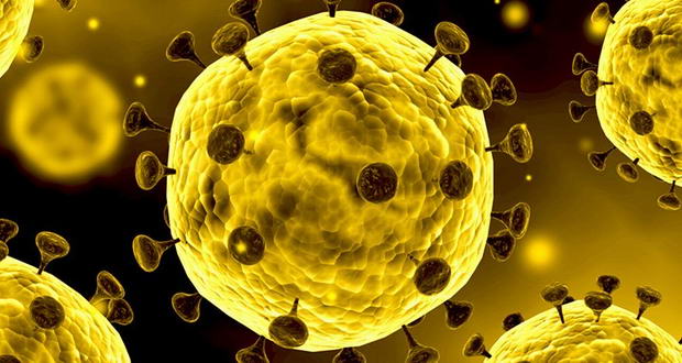 کاهش ١٣ تا ٣٢ درصدی تجارت بین الملل به دلیل کرونا