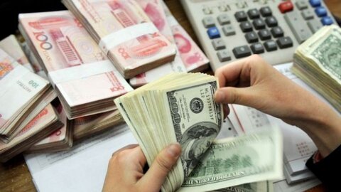 شفافیت دوای درد عدم بازگشت ارز به کشور است