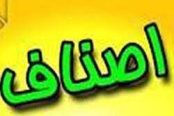 ۳۶۰۰ واحد صنفی در چابهار و دشتیاری فعال است