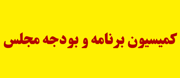بودجه‌ریزی بر مبنای درآمدهای واقعی ضرورت دارد
