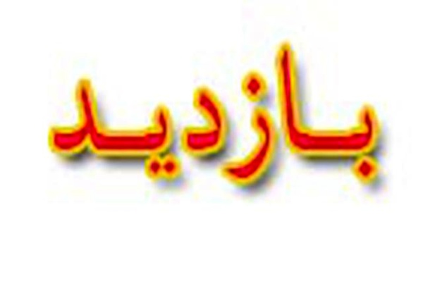 بازدید رییس هیات عامل ایمیدرو از فولاد شادگان