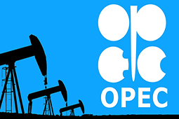 Oil Rises on Expected OPEC Cuts