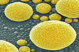 Melting gold at room temperature is a thing now
