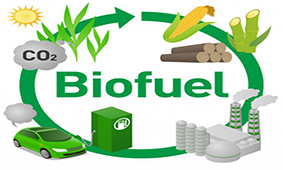 Viewpoint: Asian biofuels demand on the rise