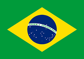 Brazil securities regulator probes Vale’s filings on dam collapse
