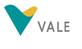 Brazil mining authority halts two Vale complexes