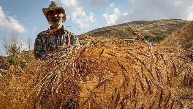 Iran private sector discusses grain exchanges with Russian businessmen