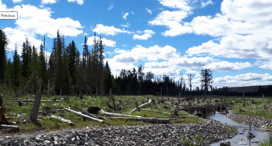 Imperial Metals options Mount Polley area claims from Commander