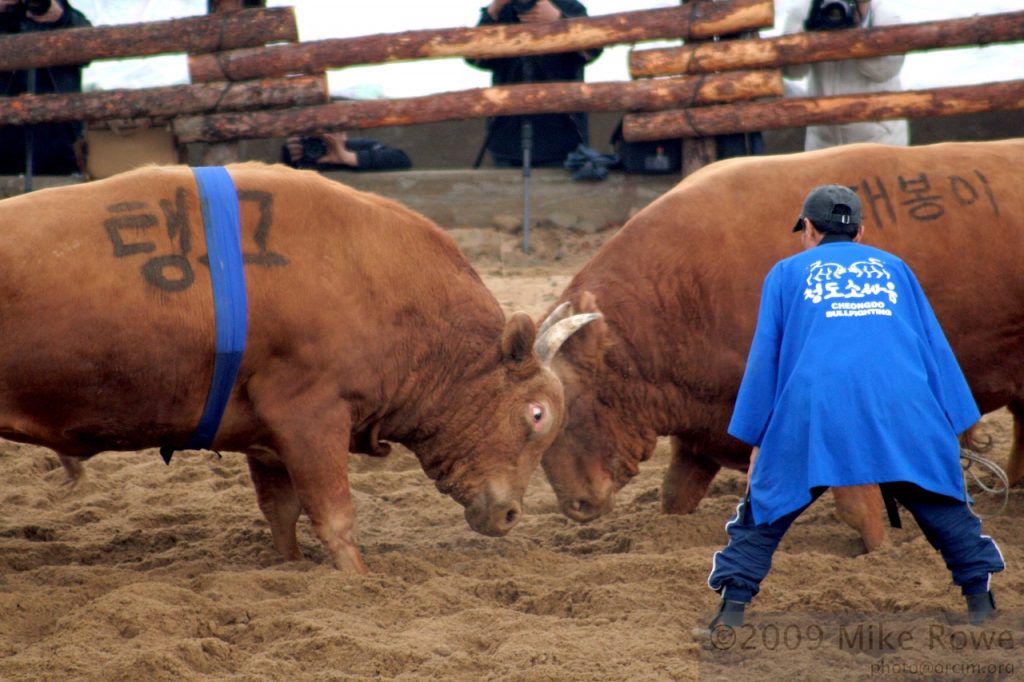 4 charts that say this time the copper price surge could last