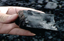 Coal India