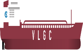 Viewpoint: VLGC owners upbeat on 2020