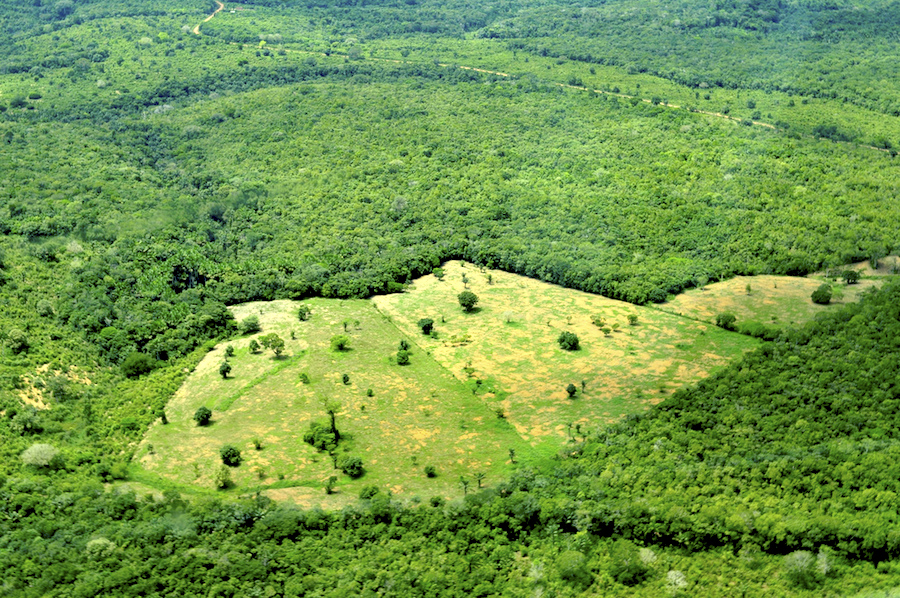 Brazil plans to allow mining in Amazonian indigenous reserves