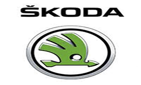 Skoda’s upcoming model VisionIN comes with Aluminium Spoiler & Diffuser