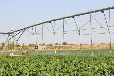 Modern irrigation systems established in 34,000 ha of Semnan farmlands