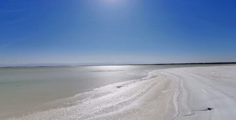 Zangge’s lithium unit resumes production after 87-day halt