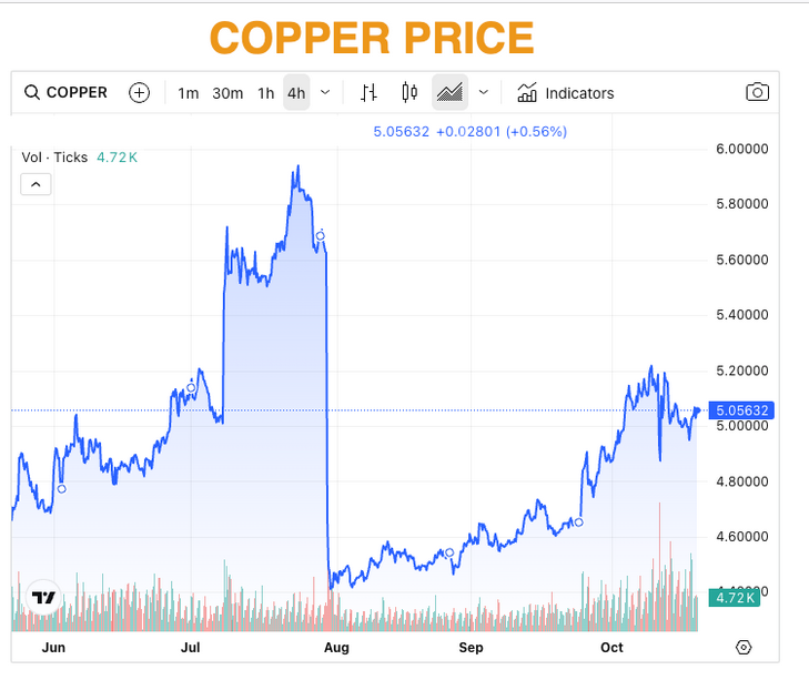 Robert Friedland says global economy faces copper crisis