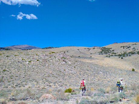 Newmont-funded Nevada gold project selected for FAST-41 permitting