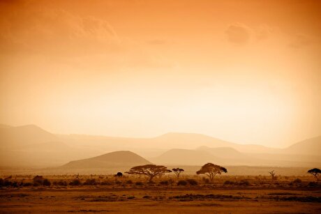 Can Africa ride critical minerals wave to economic boom?