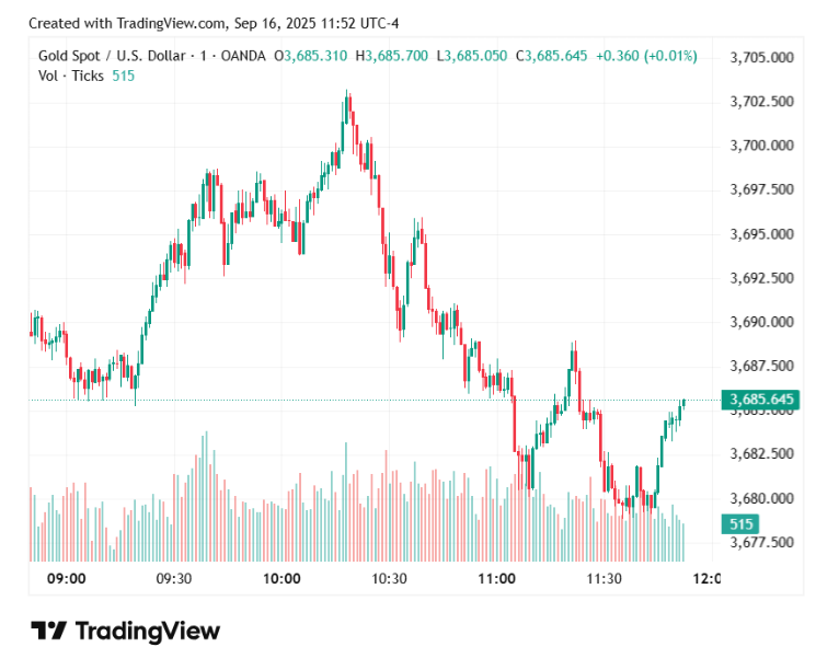 Gold price soars to new high on Fed-fueled rally Gold price soars to new high on Fed-fueled rally