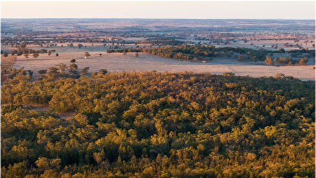 Australian critical minerals firms flock to US opportunities