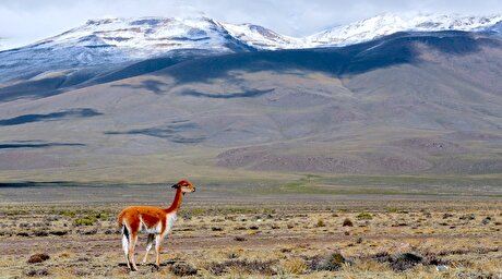Southern Copper’s Tía María to lift local revenue 40%