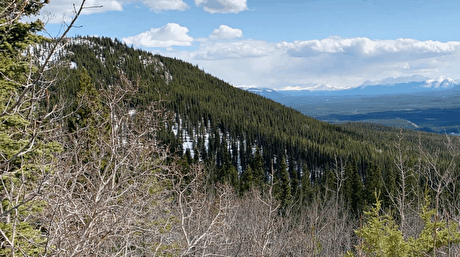 Gladiator raises $25M from BlackRock-led placement to fund Yukon drilling