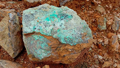 Phase two drilling concludes at Mink Ventures’ Warren property