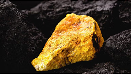 Verdera Energy to sell Treeline Uranium Project to Americas Uranium