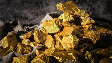Forrestania acquires Edna May Gold Project in $215m deal