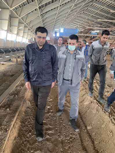 بازدید مدیر عامل شرکت گسترش صنایع معدنی کاوه پارس و مهندس حسینی مدیرعامل گروه سیمان تهران از شرکت سیمان ایلام