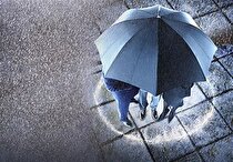 نکاتی که باید در مورد بیمه سهام بدانیم
