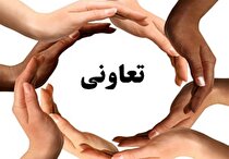 اصلاحیه سند تعاون در انتظار بررسی در کمیسیون اقتصادی دولت