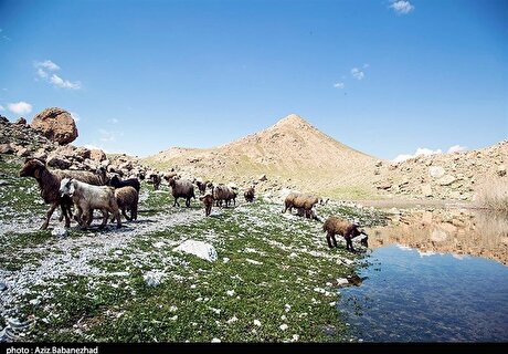 خشکسالی شدید دی ۱۴۰۲ به روایت آمار+جدول