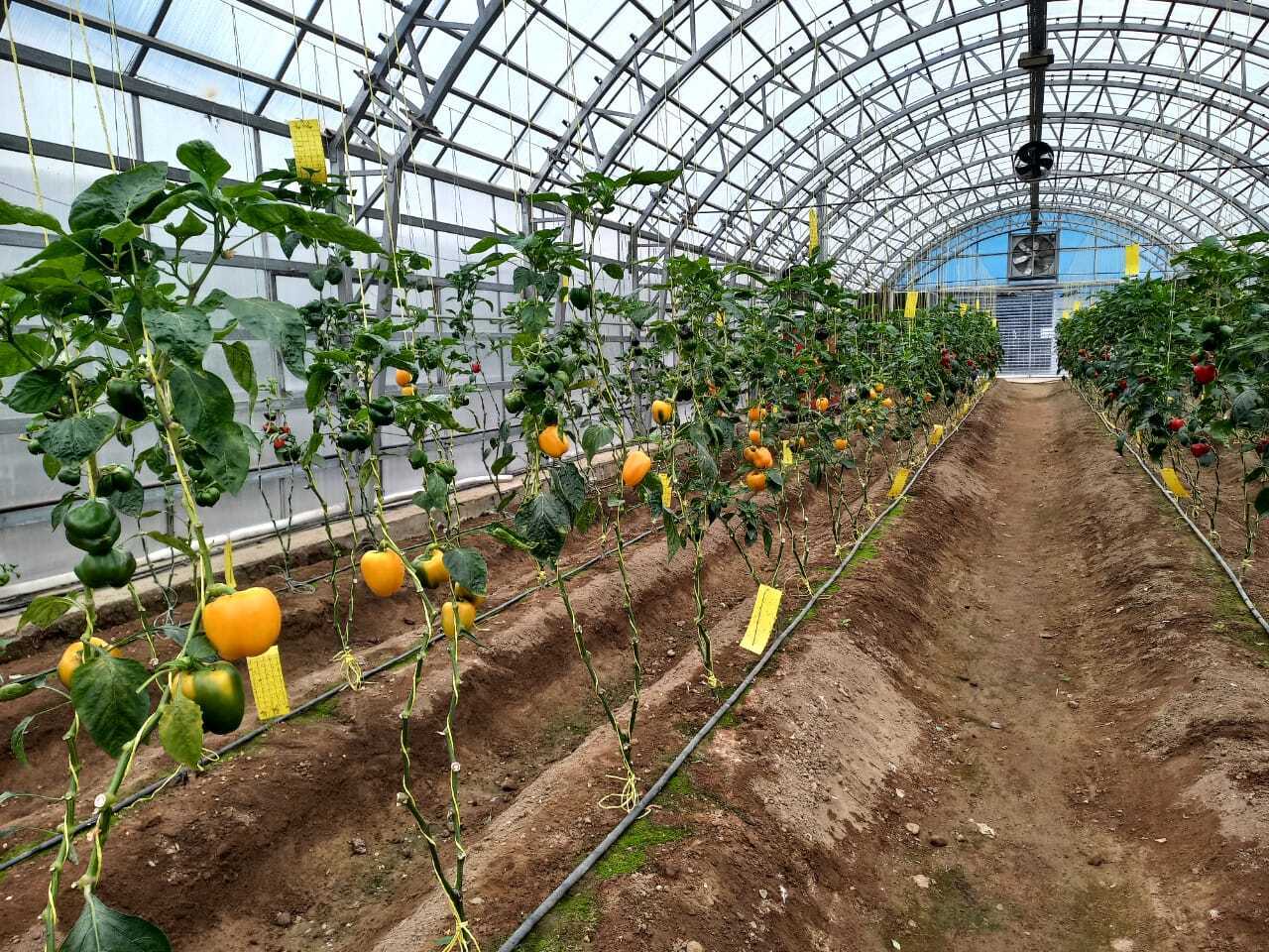 برگزاری همایش بزرگ محیط زیست توسط رسول دانیال زاده در مجتمع فولاد گیلان