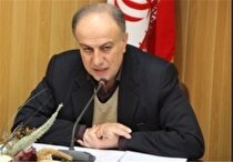 ۱۰ هزار شغل در حوزه صنایع و معادن کردستان ایجاد شد