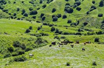 ضعف در تخصیص اعتبارات مشکلات منابع طبیعی را ادامه‌دار کرده است